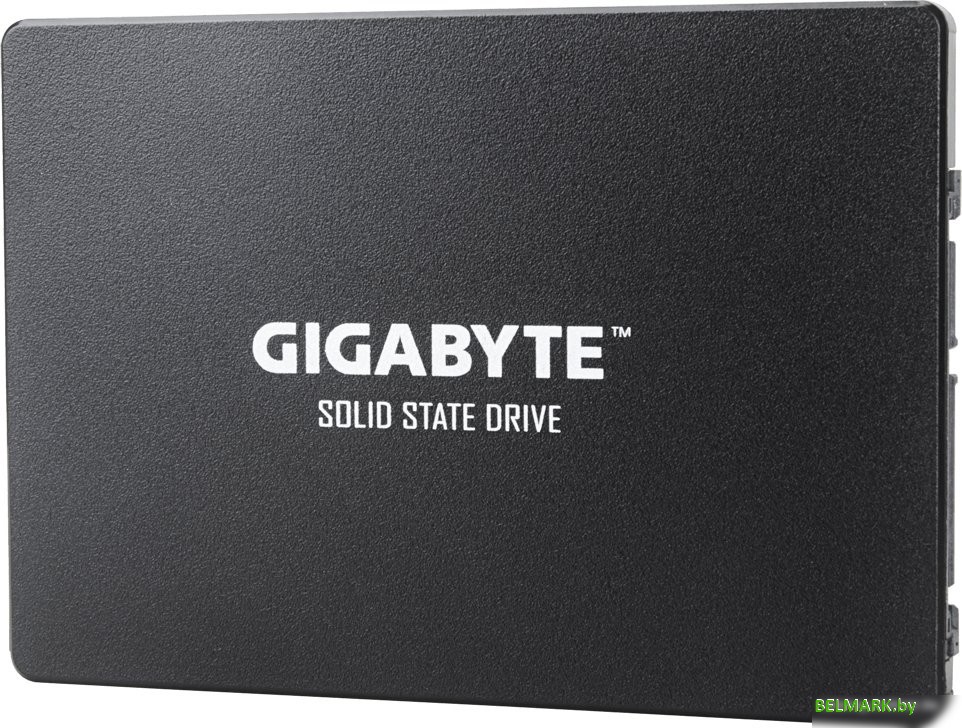 SSD Gigabyte 256GB GP-GSTFS31256GTND - фото
