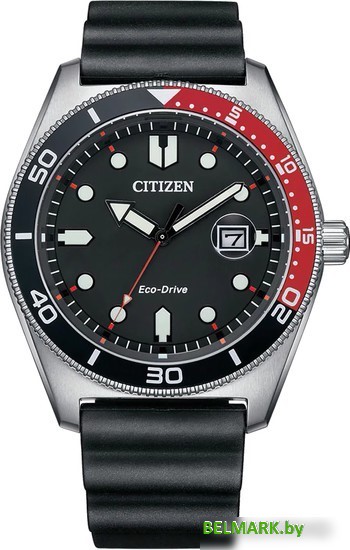 Наручные часы Citizen Dress AW1769-10E - фото