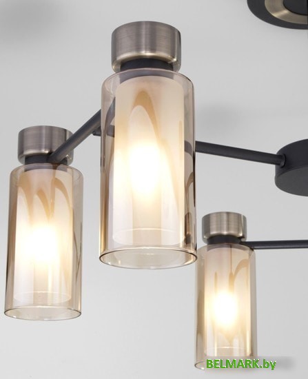 Припотолочная люстра Евросвет 70115/6 (черный) - фото2