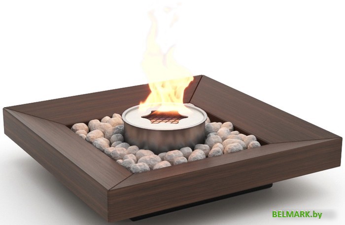 Биокамин Firelight BFP/T-2525 Cup - фото