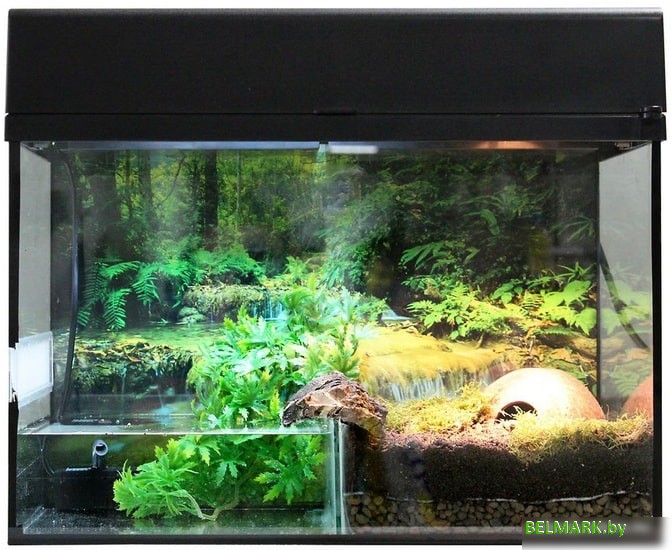 Террариум Lucky Reptile Стартовый комплект для амфибий SK50BP-B (черный) - фото