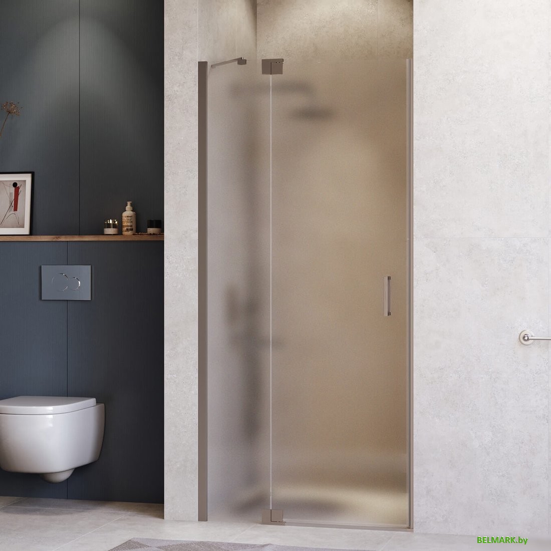 Душевая дверь RGW HO-014Gr 350601414-210 - фото2