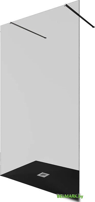 Душевая стенка Allen Brau Infinity 2 3.21056.BA.T 323848 (серебро браш) - фото