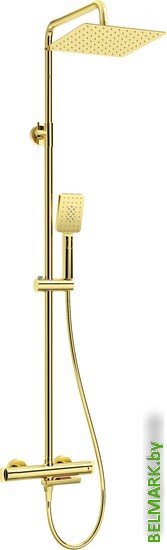 Душевая система Deante NAC Z1HT - фото