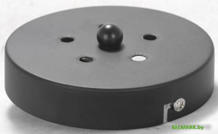 Подвесная люстра Lussole Lafayette LSP-8266 - фото2