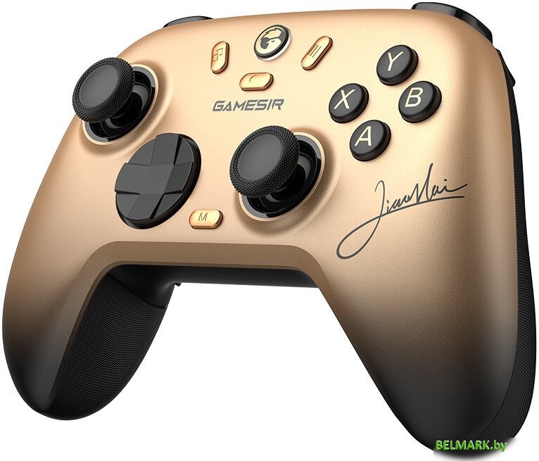 Геймпад GameSir Nova 2 Lite Champion Edition (золотистый) - фото2