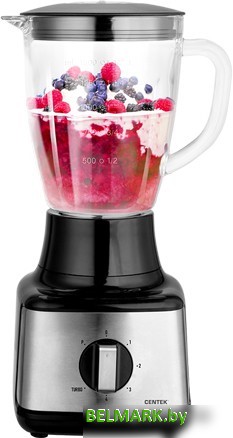 Стационарный блендер CENTEK CT-1303 - фото