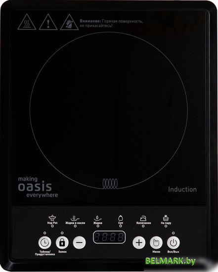 Настольная плита Oasis (Making Oasis Everywhere) PI-B12SK - фото
