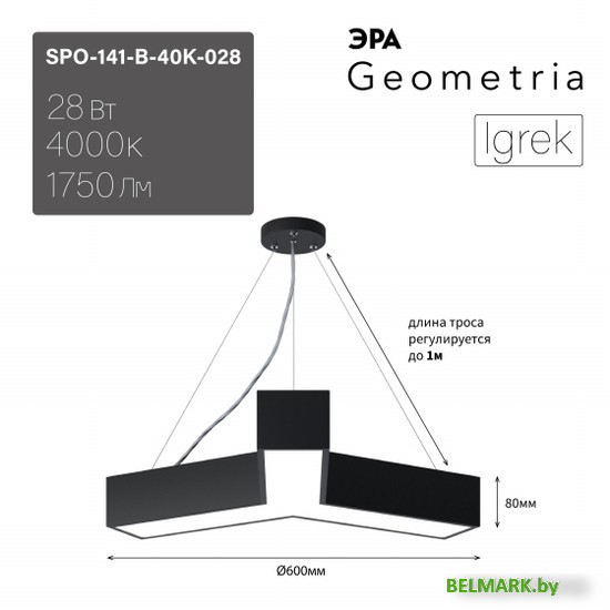 Подвесная люстра ЭРА Geometria Igrek SPO-141-B-40K-028 Б0058883 - фото2