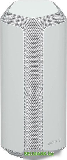 Беспроводная колонка Sony SRS-XE300 (серый) - фото