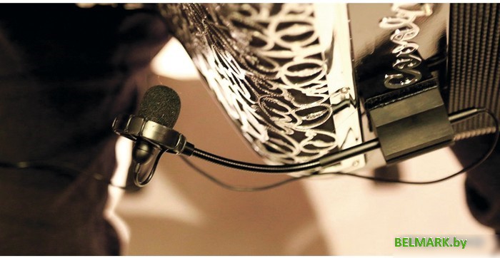 Комплект проводных микрофонов Prodipe AL21 Romanelli Accordion - фото2