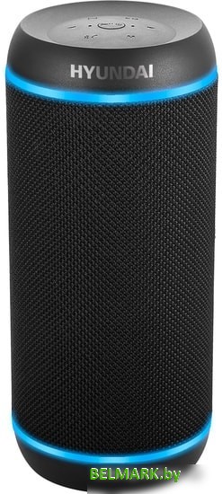 Беспроводная колонка Hyundai H-PAC380 - фото