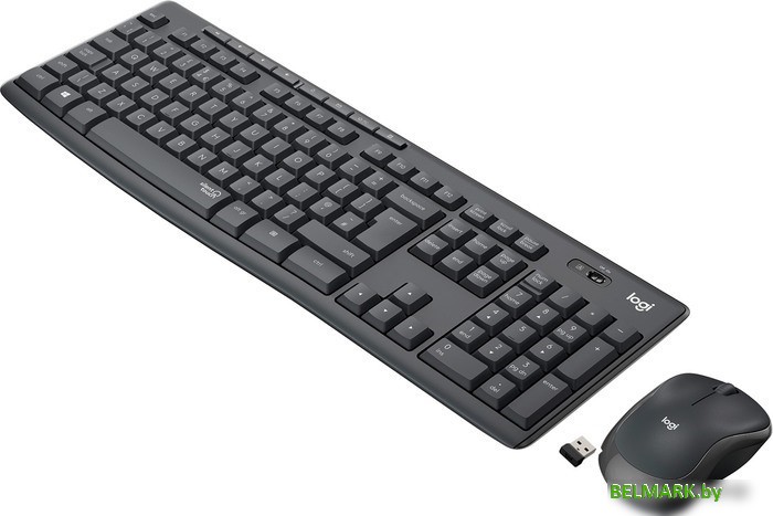 Офисный набор Logitech MK295 Silent Wireless Combo 920-009813 (графитовый) - фото2