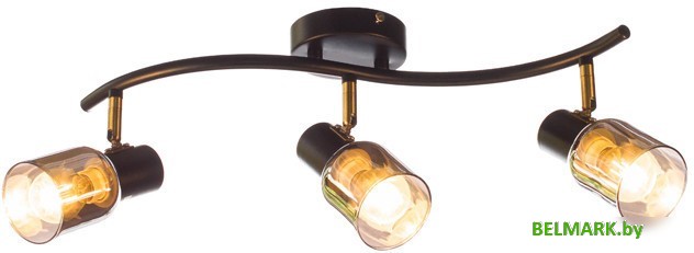 Люстра Aitin Pro НПБ 02-3x60-102 51976/3 (бронза/черный) - фото