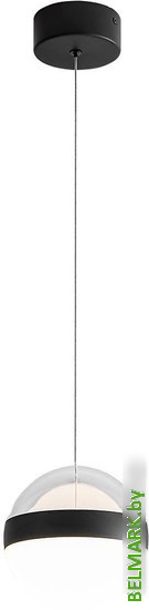 Подвесная люстра Odeon Light Roni 5075/12L - фото