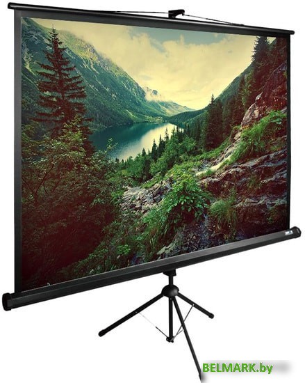 Проекционный экран CACTUS TriExpert 220x220 CS-PSTE-220X220-BK - фото