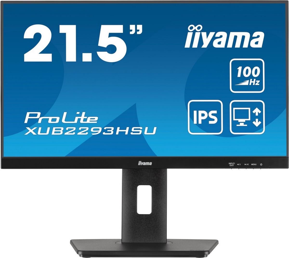 Монитор Iiyama ProLite XUB2293HSU-B7 - фото