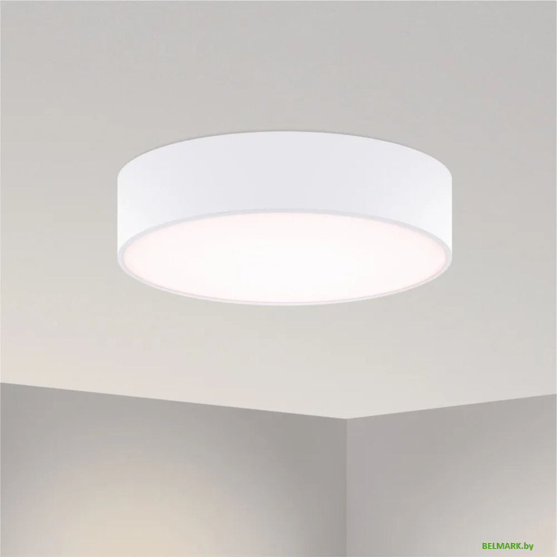 Светодиодная панель Arlight SP-TOR-PILL-PRISM-R600-50W Warm3000 (WH, 100 deg, 230V) 022131(3) - фото2