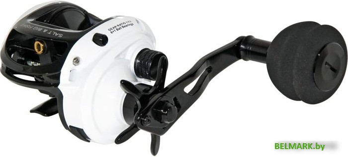 Рыболовная катушка WFT Salt&Big Fish Ii 6+1 1D-A-806-051 - фото