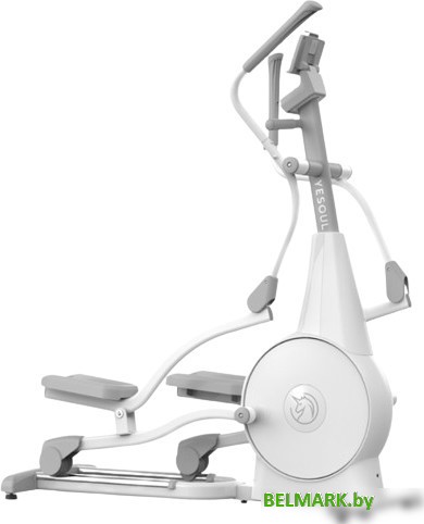 Эллиптический тренажер Yesoul Smart Elliptical Machine E30S - фото