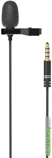 Микрофон Ritmix RCM-110 - фото