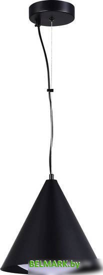 Подвесная люстра ST Luce SL6501.403.01 - фото