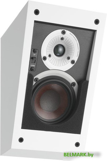 Внешний модуль объемного звука DALI Alteco C-1 (белый) - фото