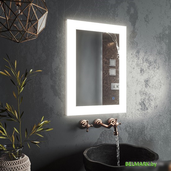 Roxen Зеркало Bliss 510035-60 60х80 - фото2