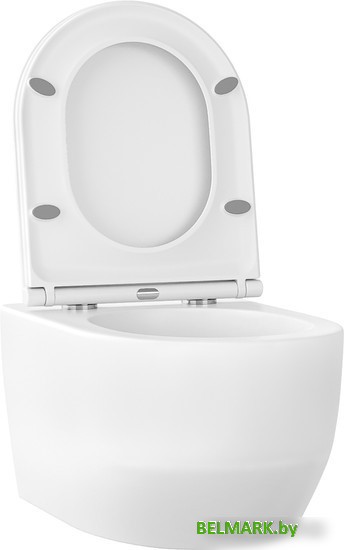 Унитаз подвесной Wellsee Croquis RimFree 182611001 (чаша, пневмокрышка, глянцевый белый) - фото2