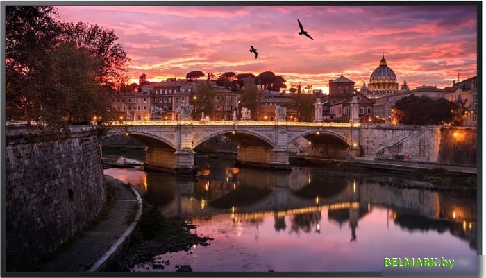 Информационная панель Samsung QB55R - фото