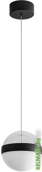 Подвесная люстра Odeon Light Roni 5075/12L - фото2