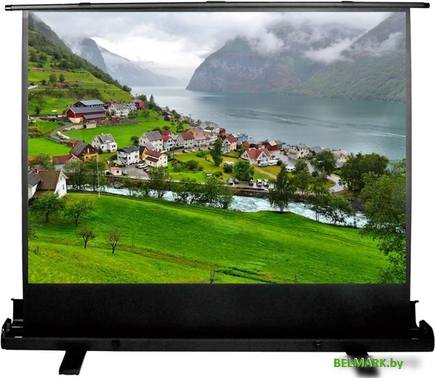 Проекционный экран CACTUS FloorExpert 102x180 CS-PSFLE-180X102 - фото