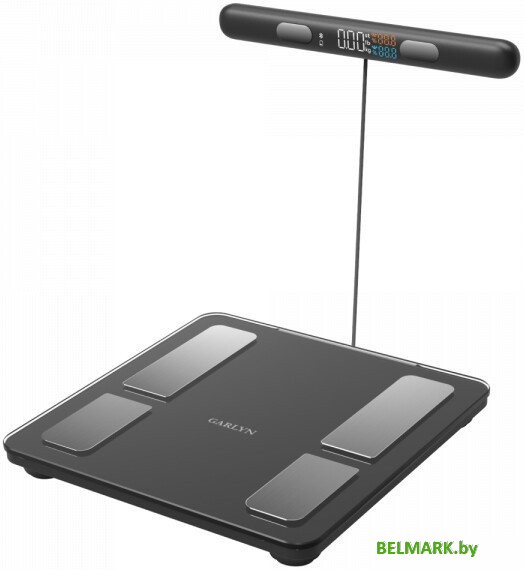 Напольные весы Garlyn Bodyscan Master - фото
