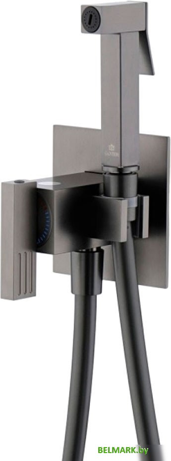 Гигиенический душ Ganzer GZ01157-Q - фото