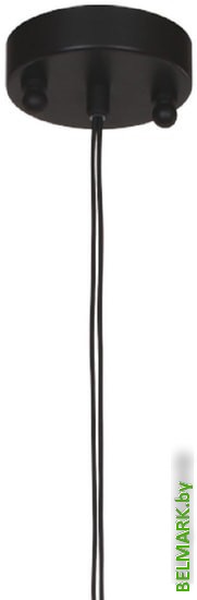 Подвесная люстра Favourite Actuel 1441-1P - фото2