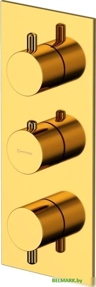Смеситель Whitecross Y Y1238GL (золото) - фото