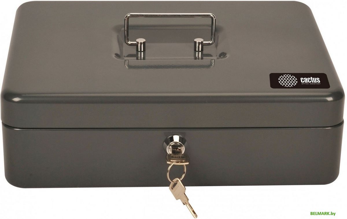Кэшбокс CACTUS CS-CB-004GY - фото