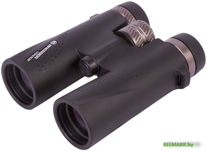 Бинокль Bresser Condor UR 10x42 (черный) - фото