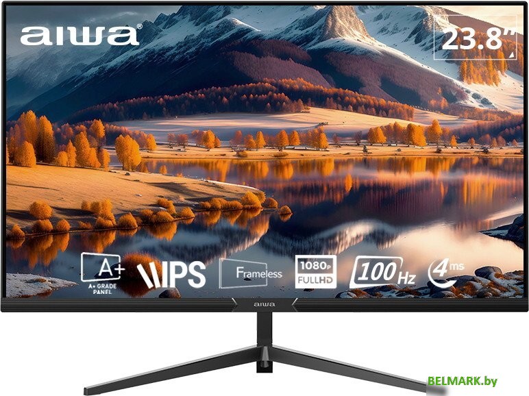 Монитор Aiwa FB-24F100-V1 - фото