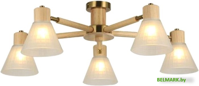 Люстра средней высоты Arte Lamp Meleph A4096PL-5BR - фото