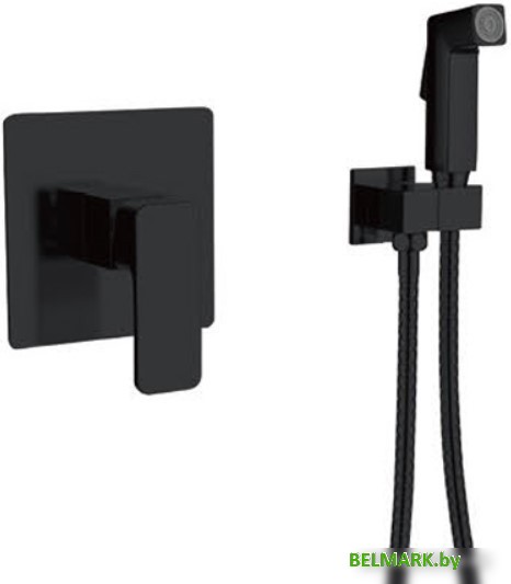 Гигиенический душ Vieir V113551-C - фото