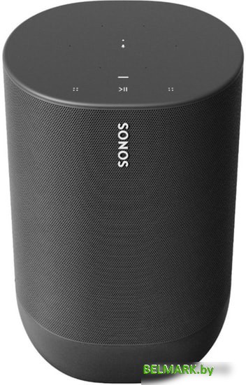 Беспроводная аудиосистема Sonos Move - фото