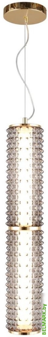 Подвесная люстра Aployt APL.331.16.29 - фото