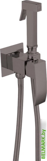 Гигиенический душ Vieir V433553-G - фото