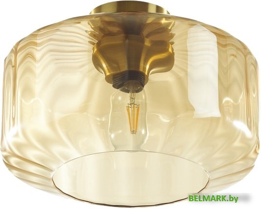 Люстра средней высоты Odeon Light Binga 4747/1C - фото