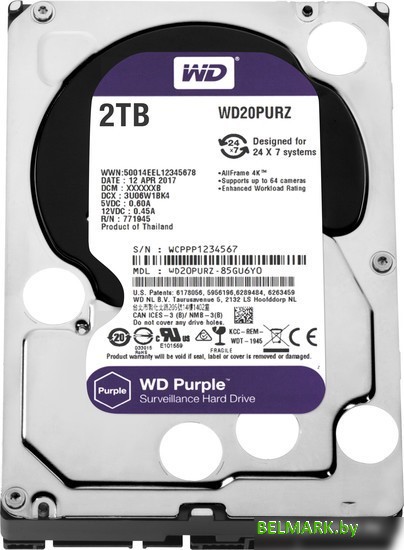 Жесткий диск WD Purple 2TB [WD20PURZ] - фото