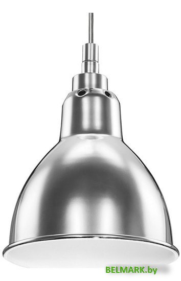 Подвесная люстра Lightstar Loft 765014 - фото