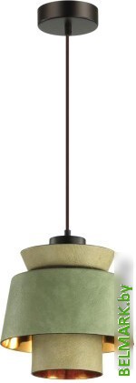 Подвесная люстра Odeon Light Kressa 4992/1A - фото