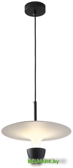 Подвесная люстра Lussole Irvine LSP-7079 - фото