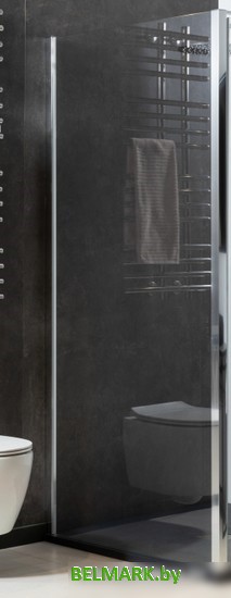 Душевая стенка Allen Brau Priority 3.31019.00 - фото